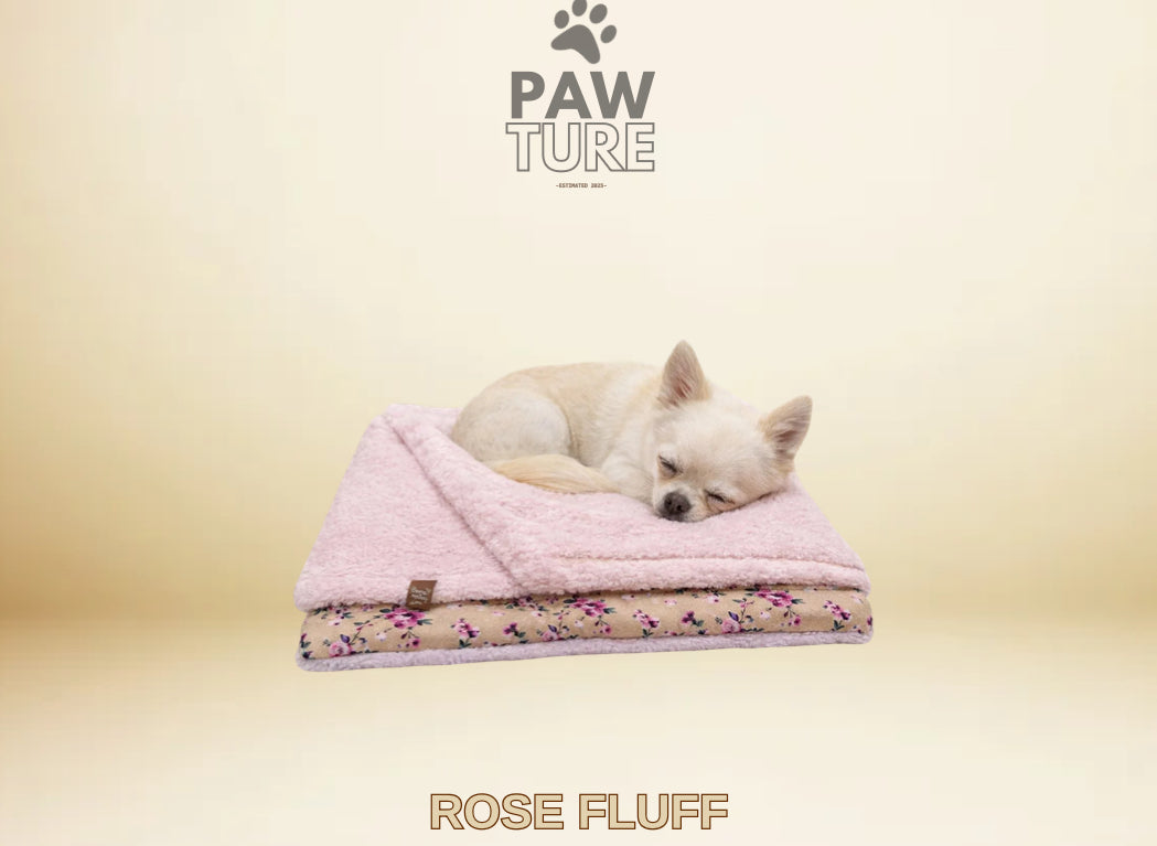 PawTure - Warm Blankets🥰