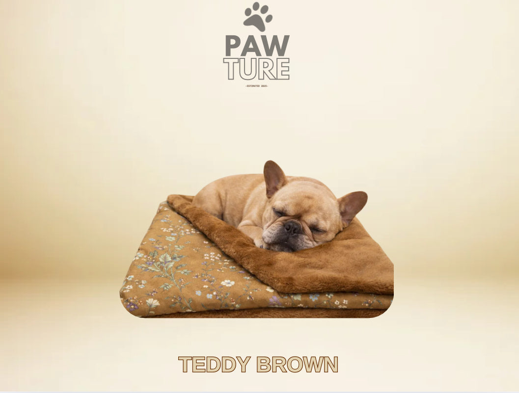 🌸 PAWTURE Padded Teddy Blanket – Maximum Comfort