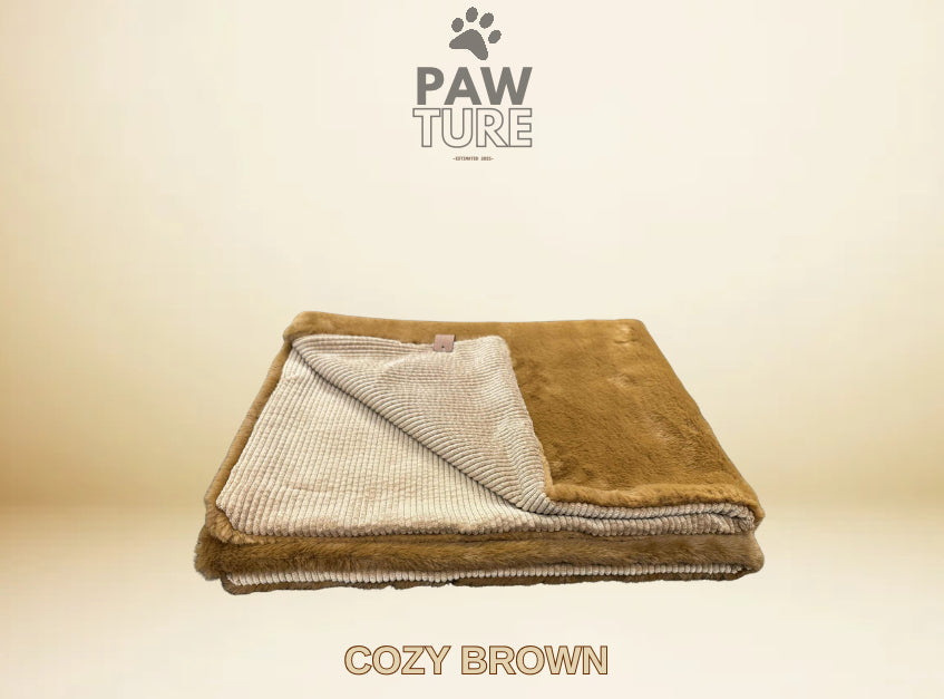 🤎 PAWTURE Cozy Brown – Maximum Comfort