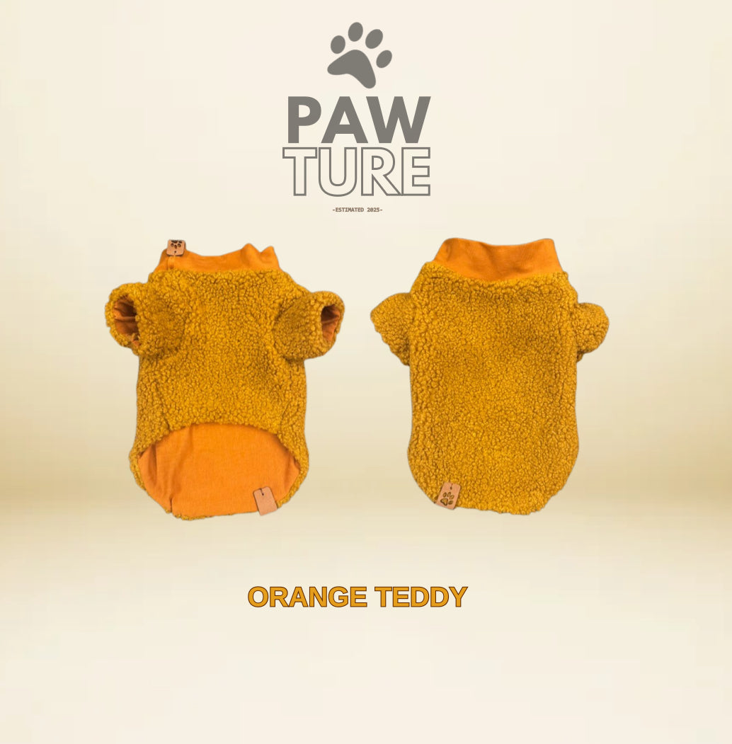 🐾 PAWTURE „Teddy Hug