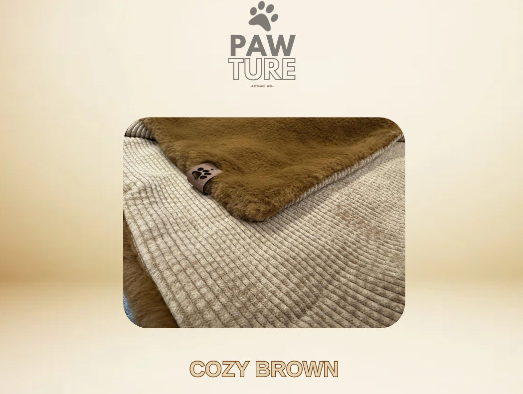 🤎 PAWTURE Cozy Brown – Maximum Comfort